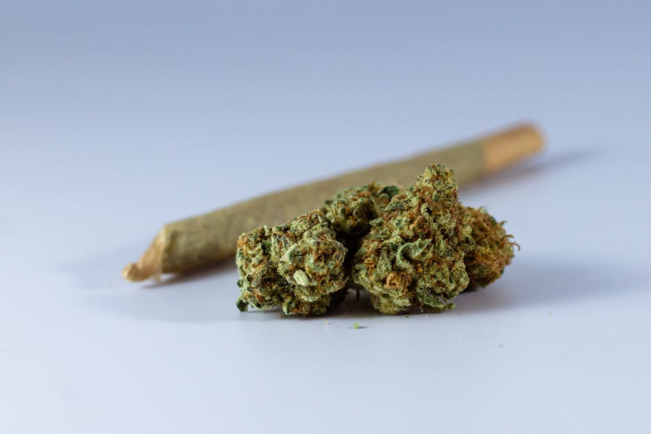CBD Dominance: Top Picks for Low THC Pre-Rolls