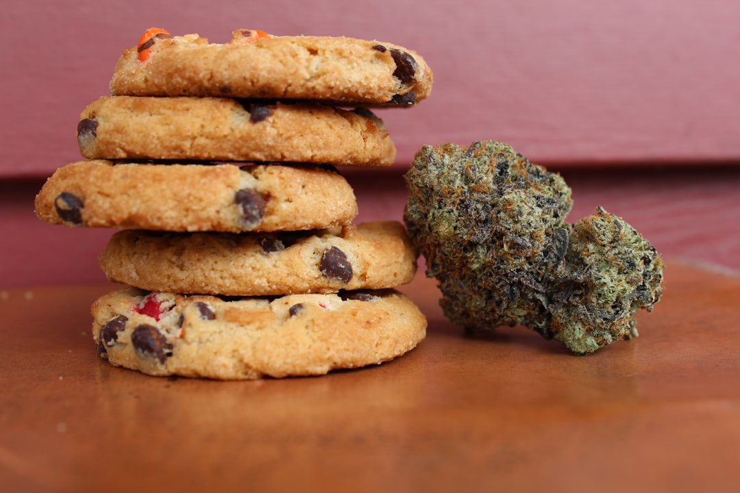 Beyond the Buzz: What Are Edible Cannabis Treats?