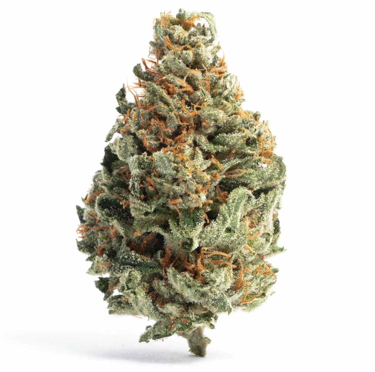 SURPRISE FLAVOR – MIXED & RANDOMLY SELECTED Fuego Cosmic Cookies THC-A Flower - 4g (ULTRA PRIVATE RESERVE)