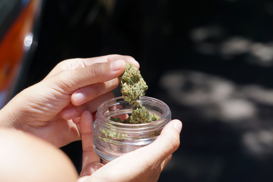 Top-Shelf Buds: Our Picks for the Best THCA Flower