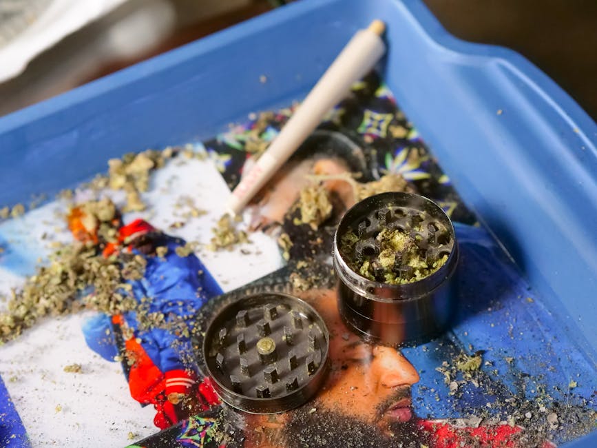 The Ultimate Preroll Roundup: Find Your Perfect Match