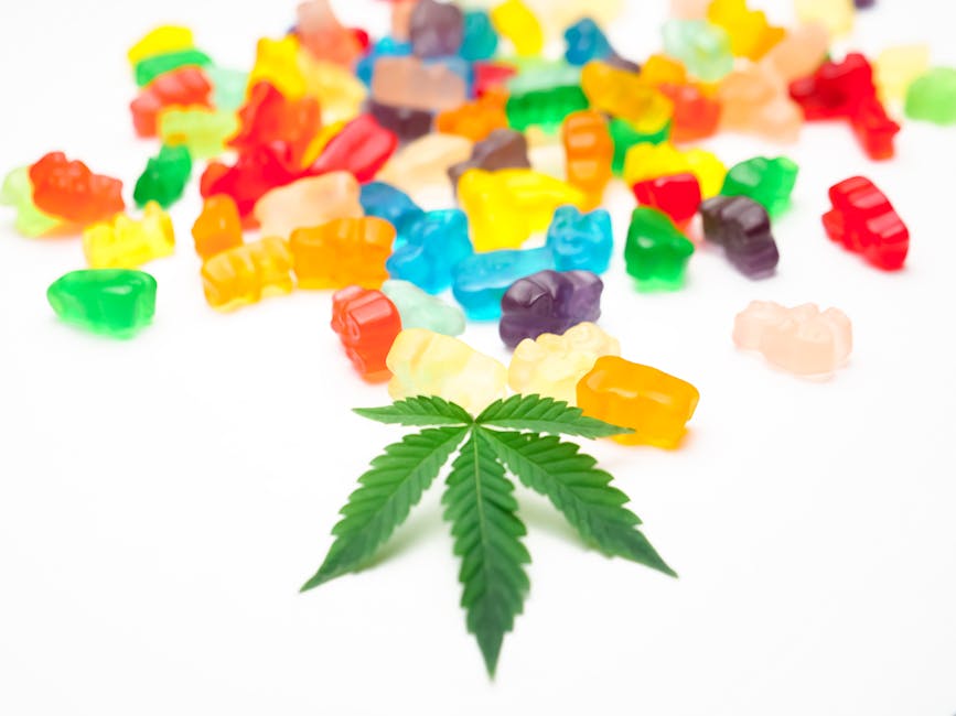 Unwrapping the Mystery: Delta 9 THC Gummies Explained