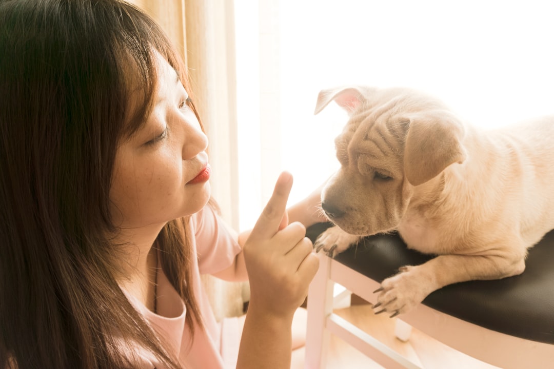 Is Your Pet Acting Out? A Guide to Common Behavioral Challenges