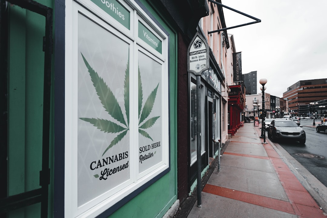 Pick the Best Buds at Your Local Flower Shop Dispensary