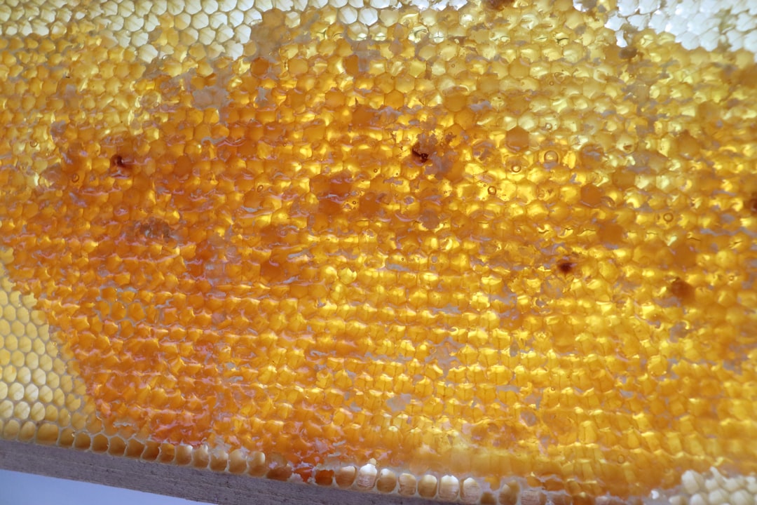 A Comprehensive Guide to THC Honey
