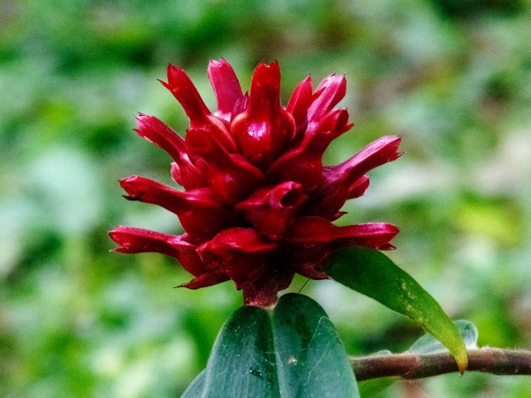 Stop and Smell the Florals with These Local Bouquet Spots